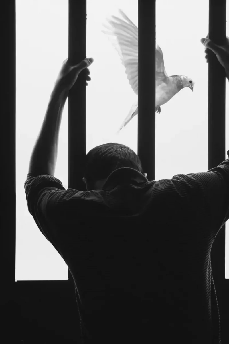 hasan-almasi-aIRBGPafi74-unsplash_comprimido